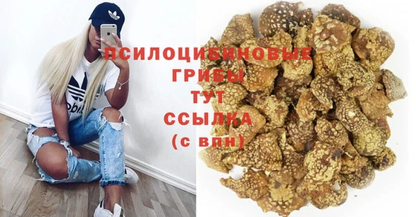 мет Алзамай