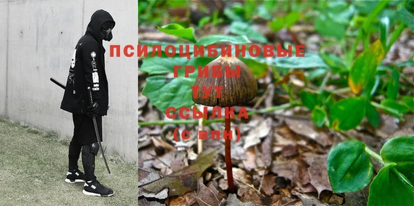 каннабис Алексеевка