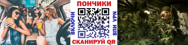 Канабис VHQ продажа наркотиков Омутнинск